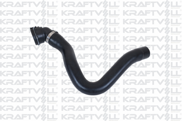Radiator Hose (10031267)