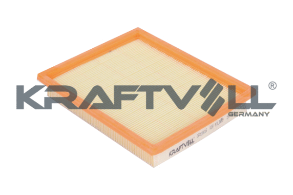 Air Filter (06010016)