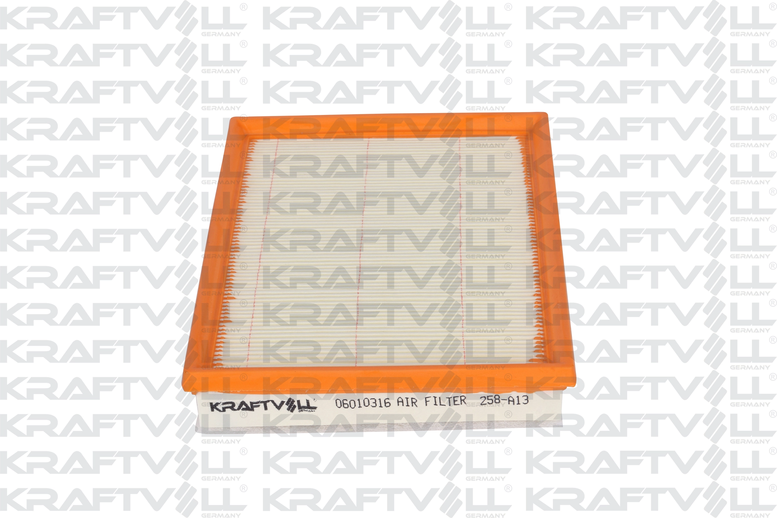 Air Filter (06010316)