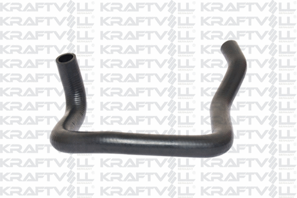 Radiator Hose (10031582)