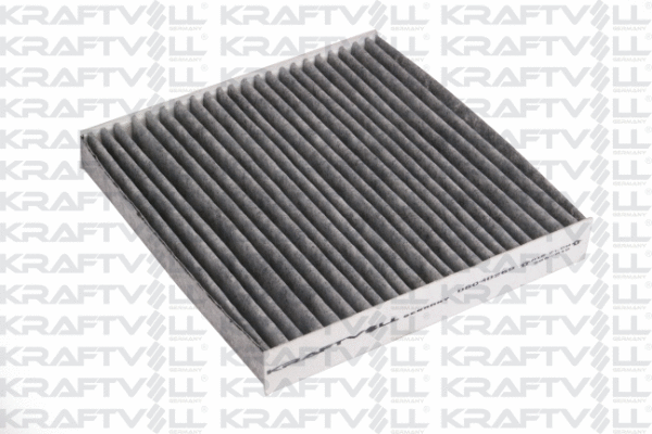 Filter, cabin air (06040269)