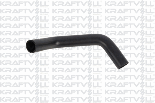 Radiator Hose (10031825)