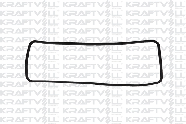 Gasket, cylinder head cover (12010131)