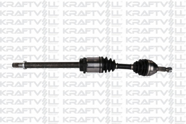 Drive Shaft (01010118)
