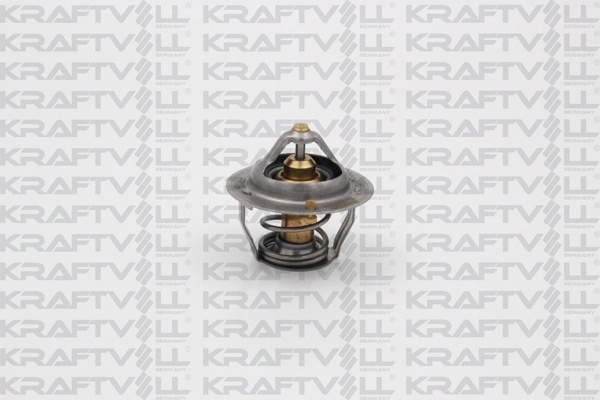 Thermostat, coolant (08110113)