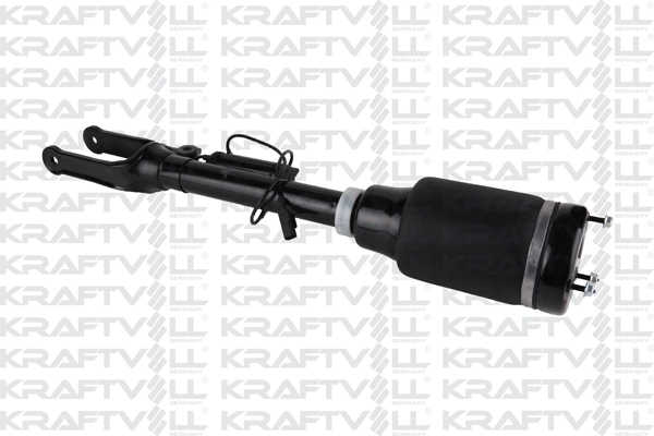 Air Suspension Strut (15060036)