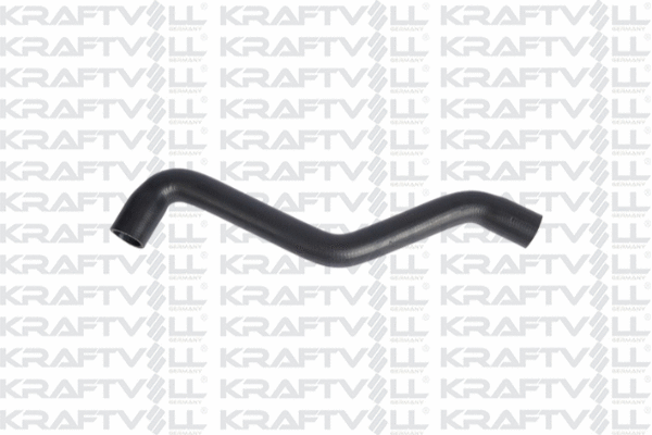 Radiator Hose (10032657)