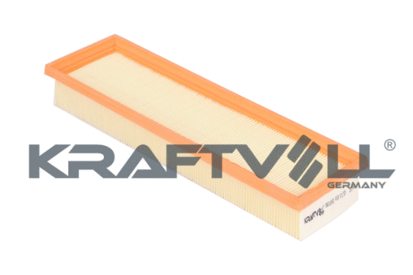 Air Filter (06010092)