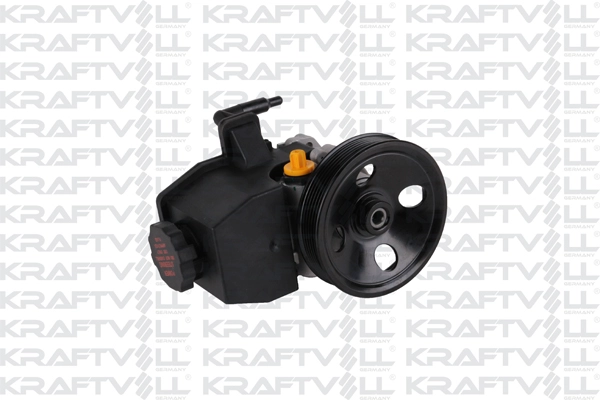 Hydraulic Pump, steering (01060038)
