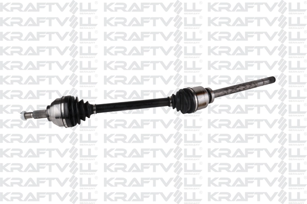 Drive Shaft (01010385)