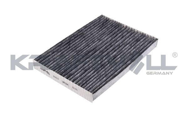 Filter, cabin air (06040119)