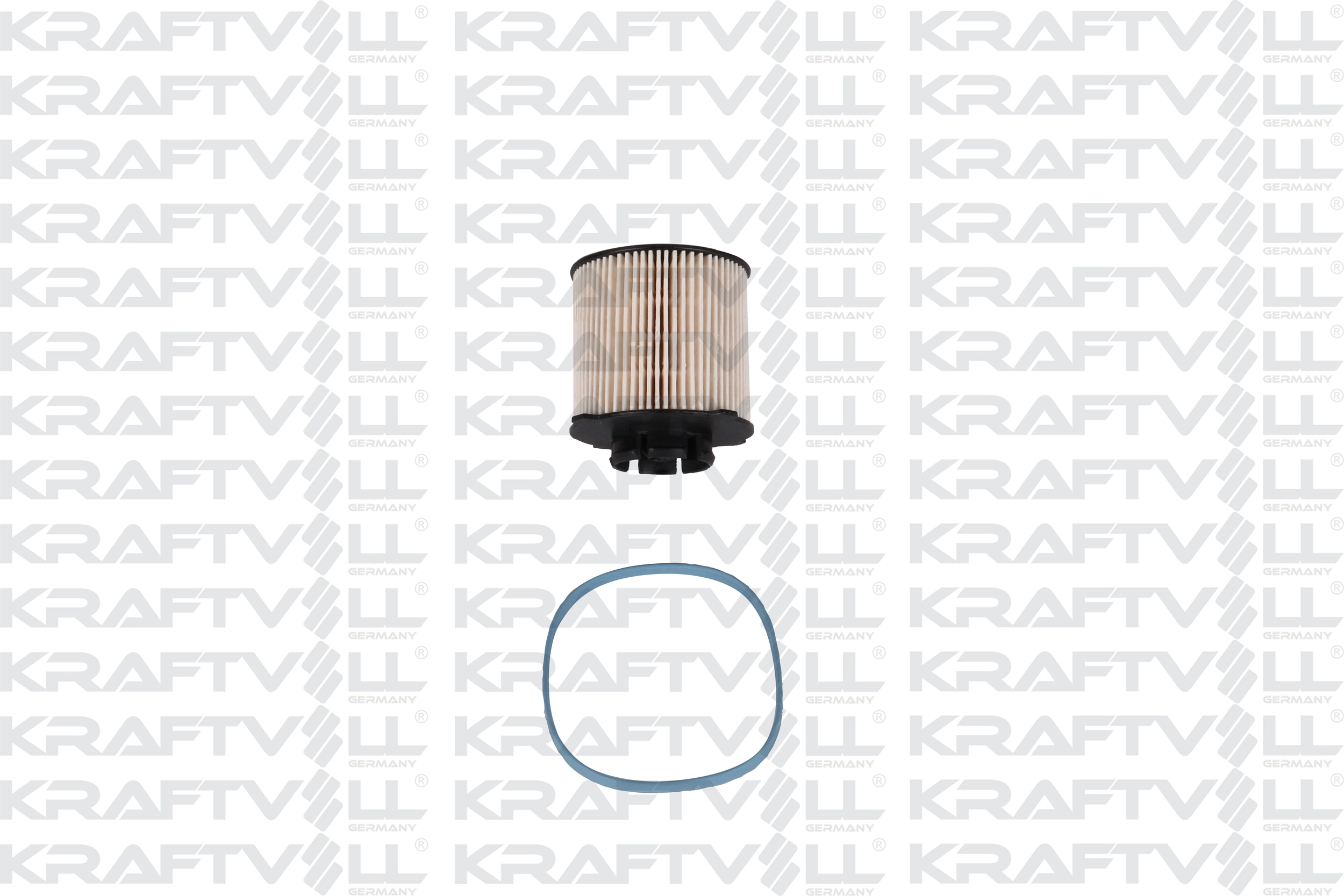Fuel Filter (06030036)