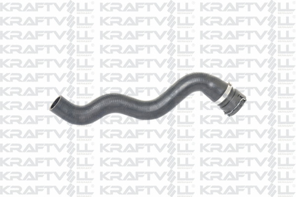Radiator Hose (10031395)