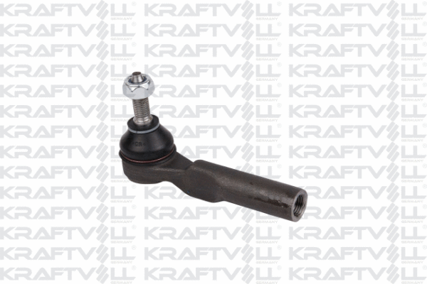 Tie Rod End (13020121)