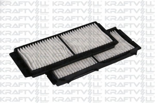 Filter, cabin air (06040229)