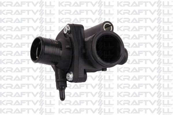 Thermostat, coolant (08100126)