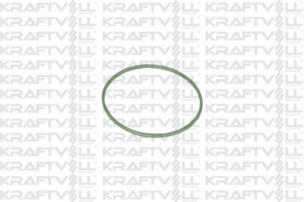 Seal, fuel tank cap (10031210)