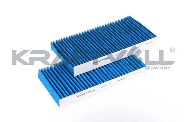 Filter, cabin air (06040129)