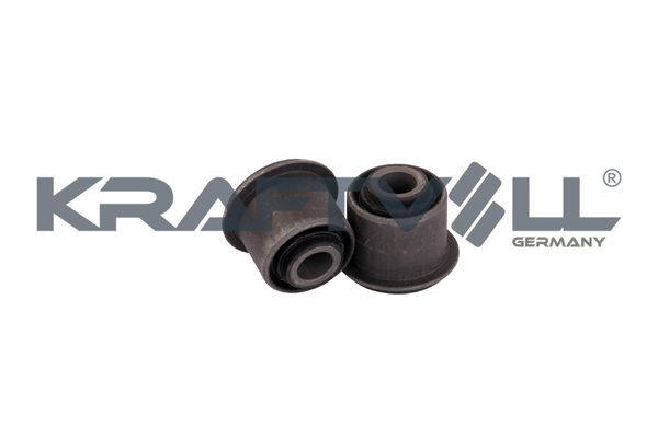 Mounting, control/trailing arm (10050255)