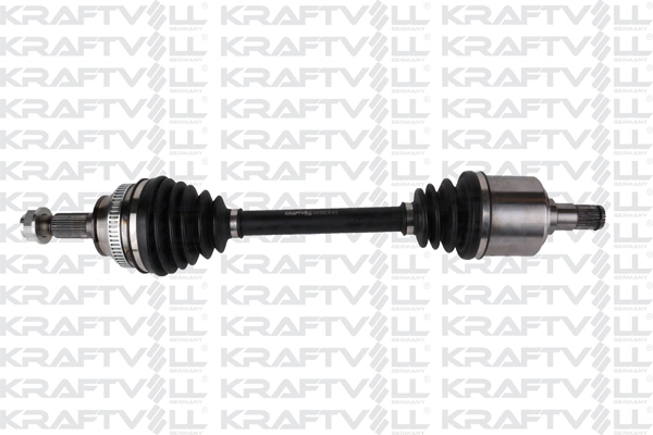 Drive Shaft (01010381)