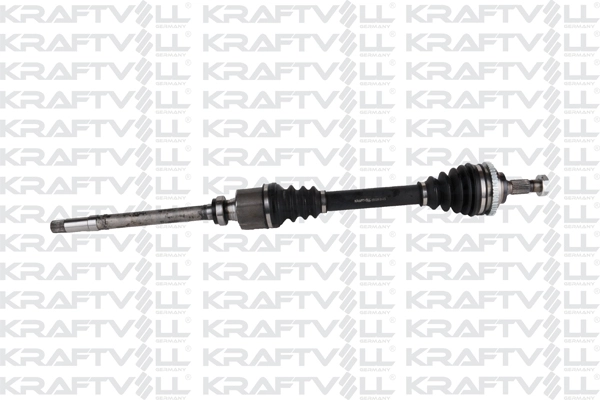 Drive Shaft (01010394)