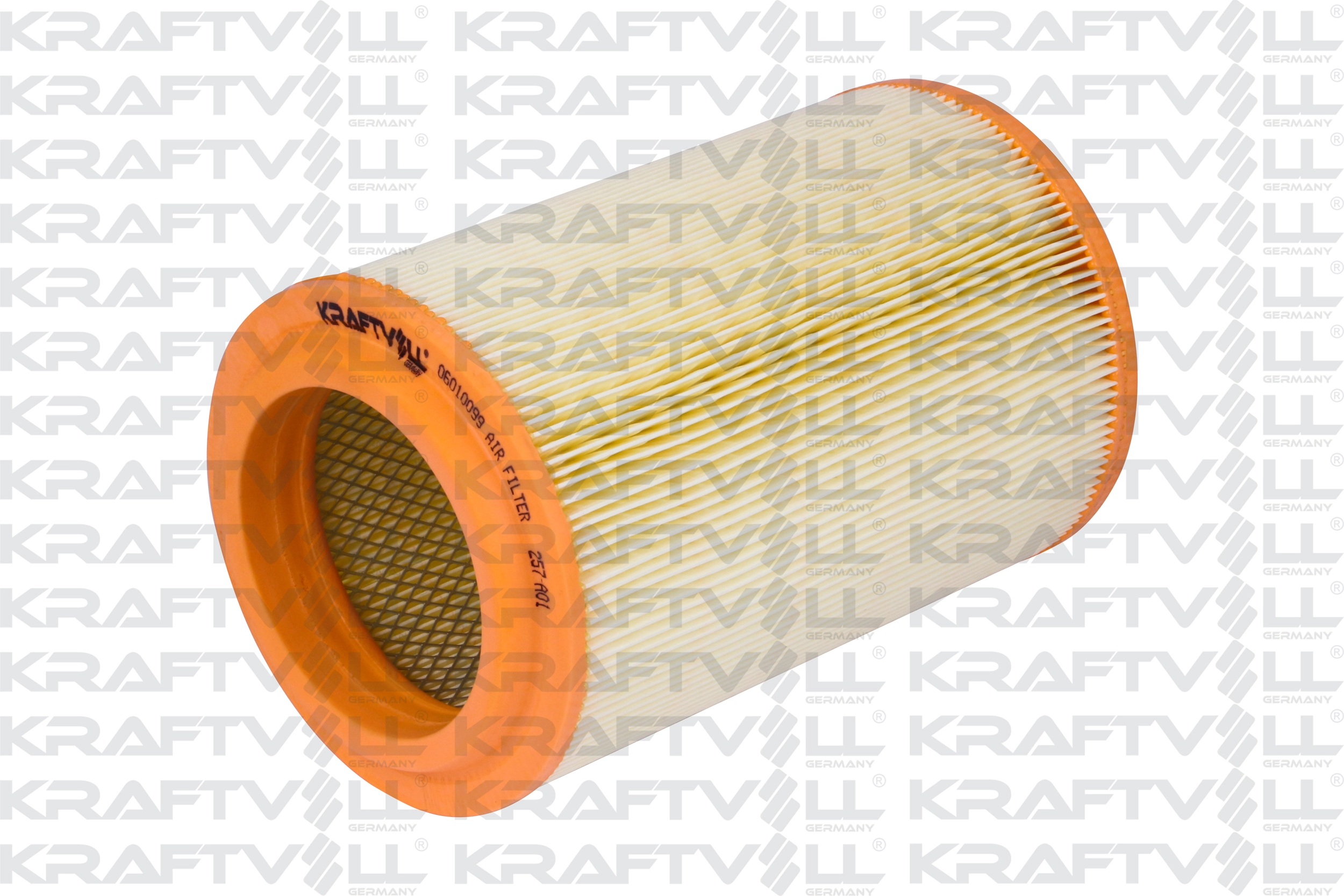Air Filter (06010099)