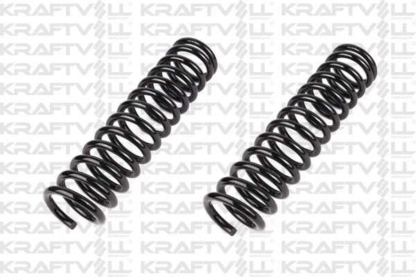 Suspension Spring (15020310)