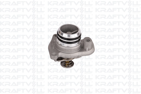 Thermostat, coolant (08100100)