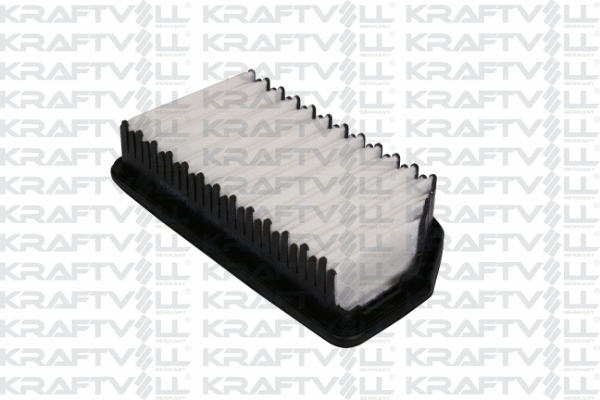 Air Filter (06010255)