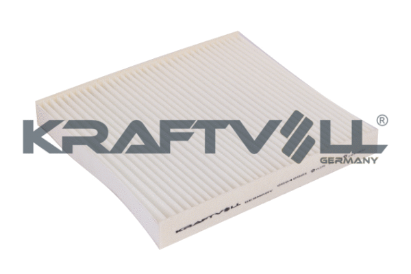 Air Filter (06010021)