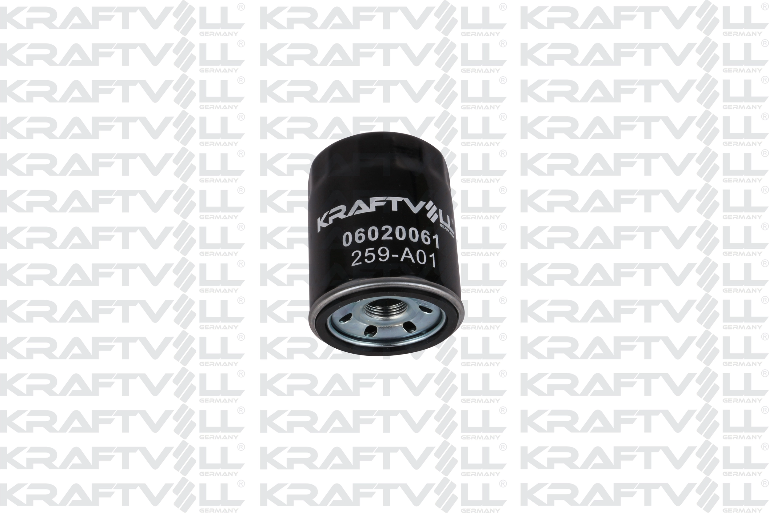 Oil Filter (06020051)
