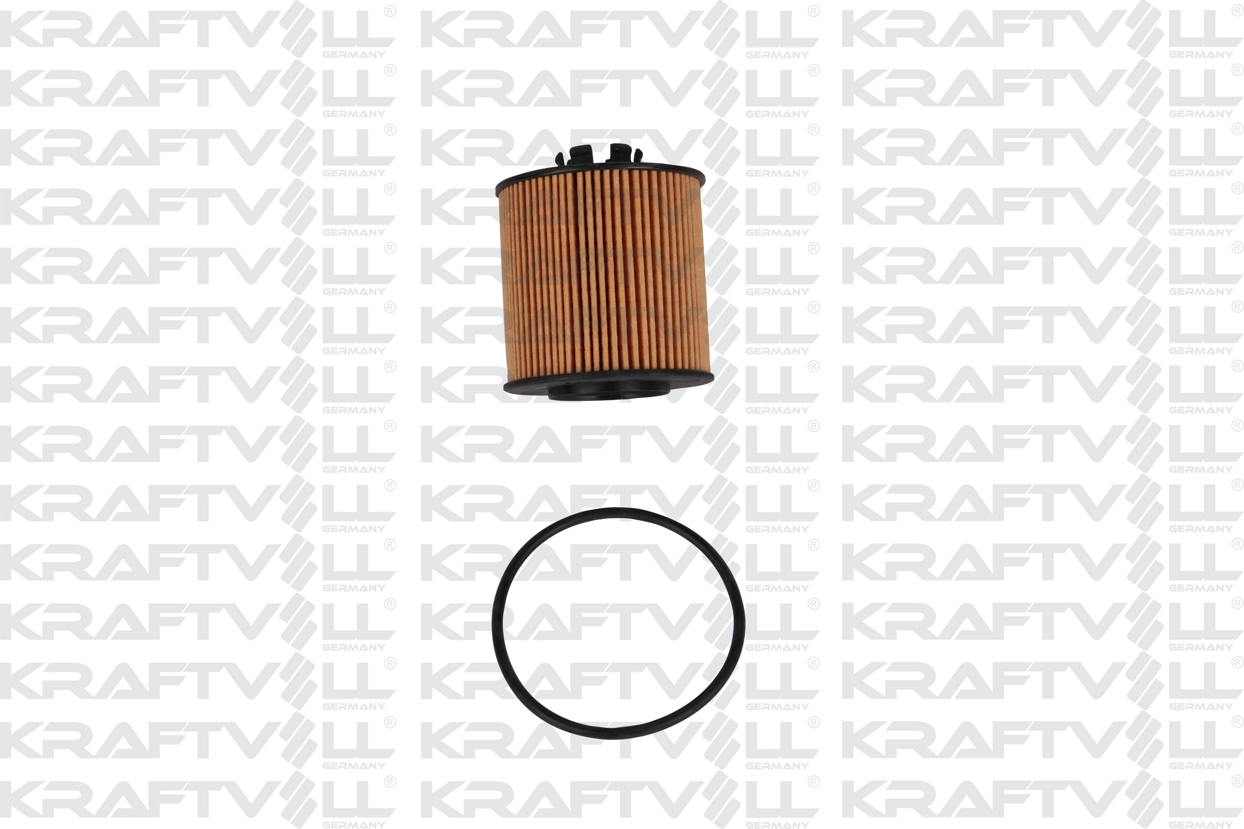 Oil Filter (06020053)