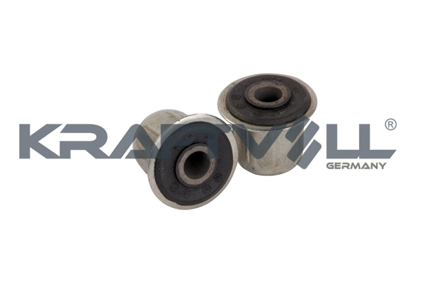 Mounting, control/trailing arm (10050251)