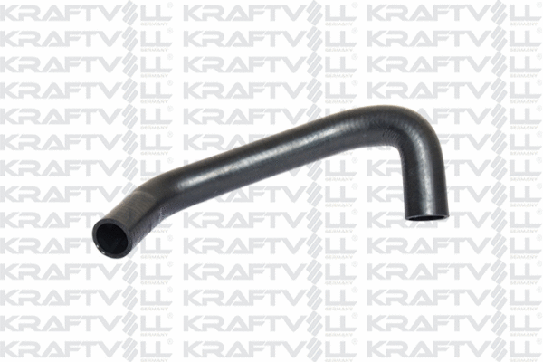 Radiator Hose (10032279)