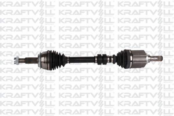 Drive Shaft (01010135)