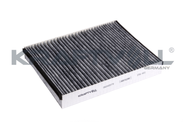 Filter, cabin air (06040079)