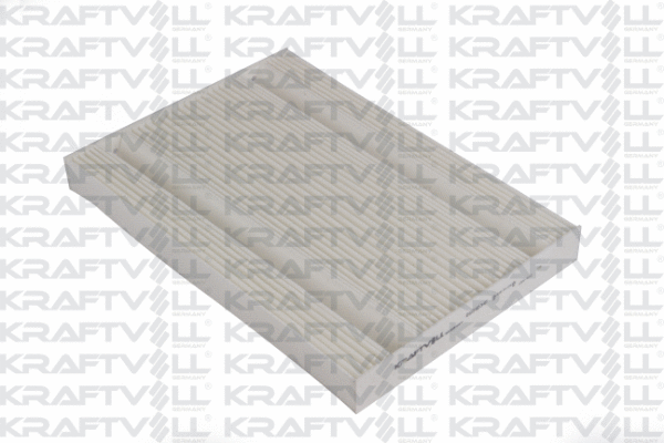Filter, cabin air (06040341)