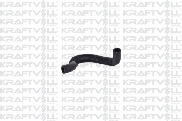 Radiator Hose (10031740)