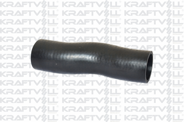 Charge Air Hose (10031844)