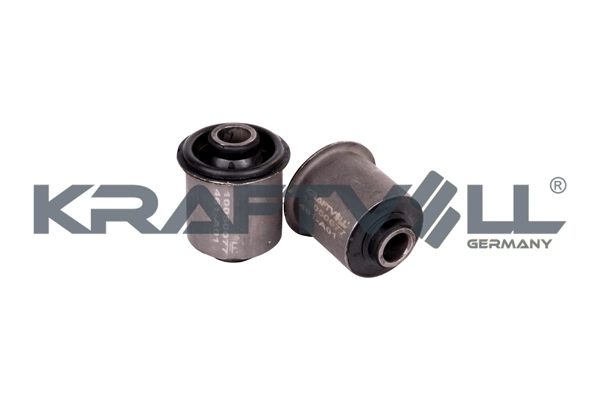 Mounting, control/trailing arm (10050077)