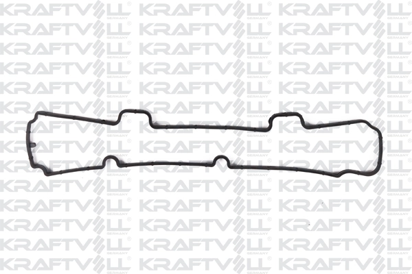 Gasket, cylinder head cover (12010151)