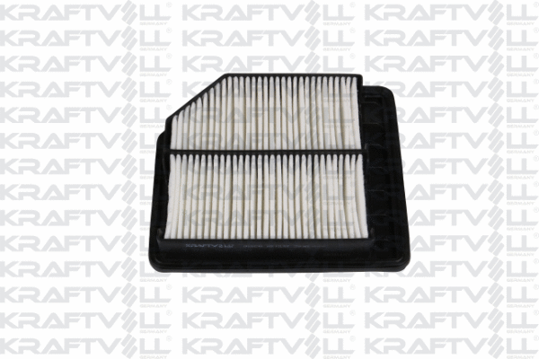 Air Filter (06010240)