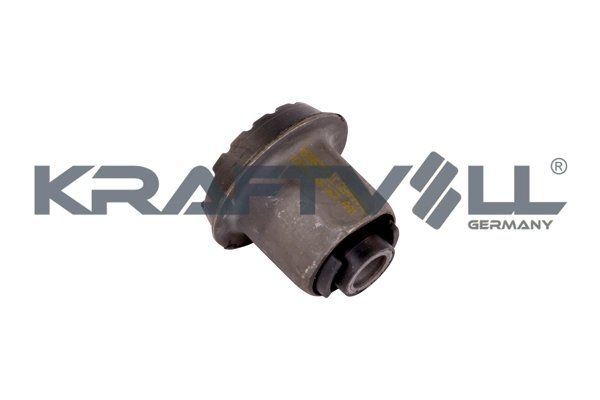 Bushing, axle beam (10050185)