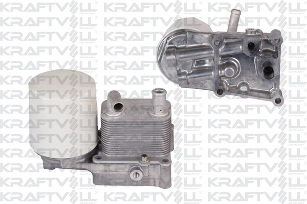 Oil Cooler, engine oil (08090097)