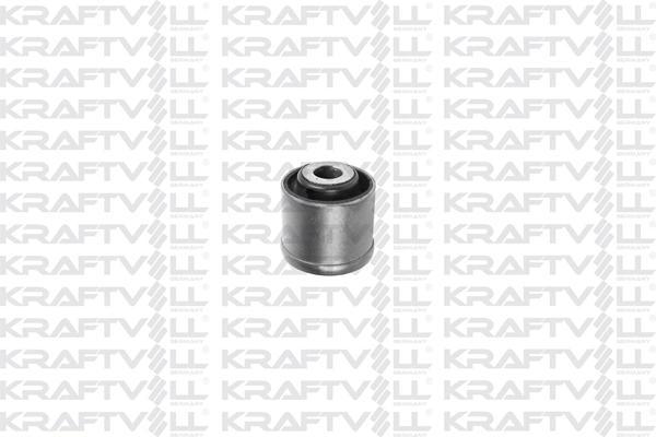 Mounting, control/trailing arm (10050237)