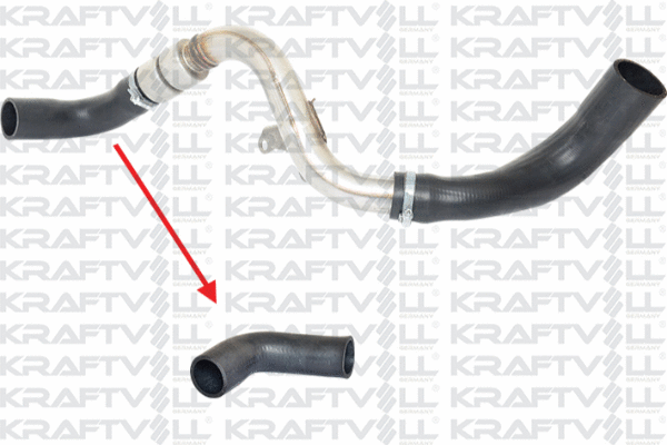 Charge Air Hose (10032425)