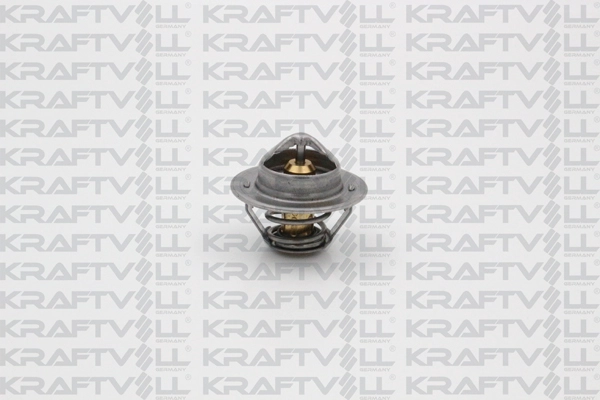 Thermostat, coolant (08110115)