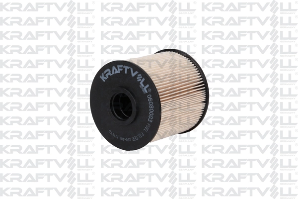 Fuel Filter (06080003)