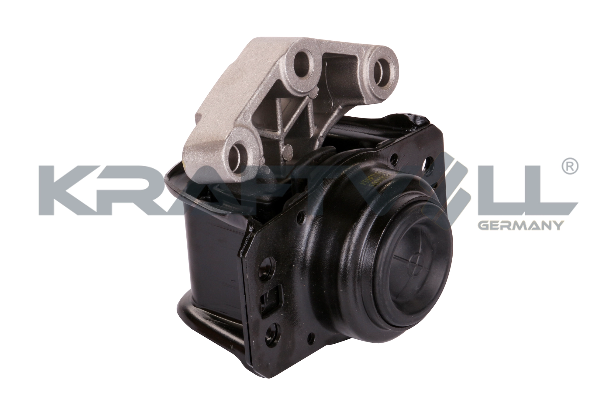 Mounting, engine (10010524)