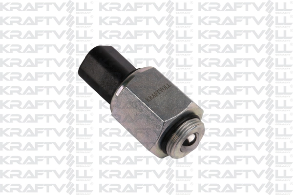 Switch, reverse light (05080011)